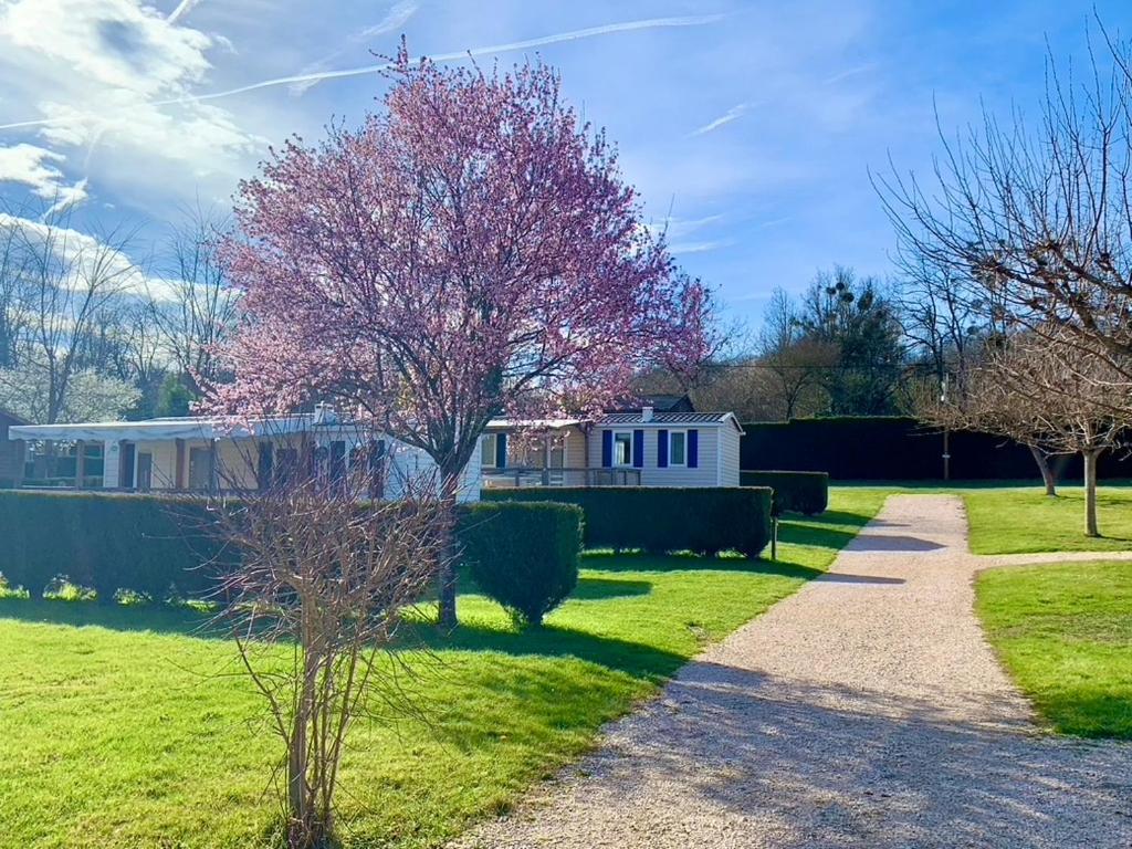 Camping Familial Paisible Avec Piscine, Mobil Home , Chalet, Studio & Emplacement Nue Casties-Labrande ภายนอก รูปภาพ